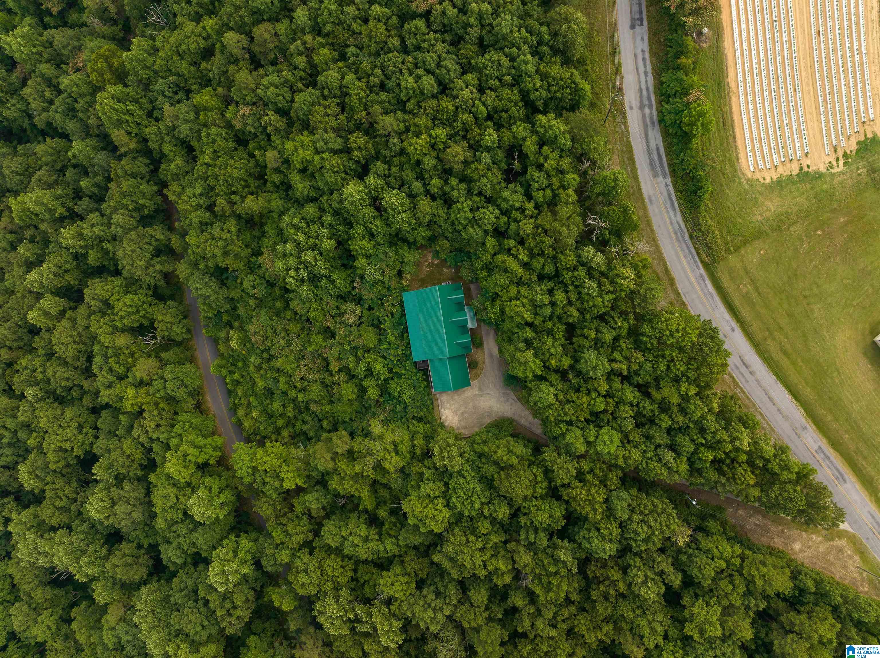 5924 Co Highway 24 Springville, AL 35146 - Photo 40 of 50