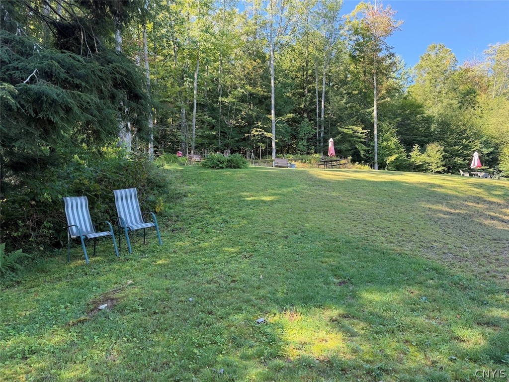 9543 Sawmill Run Road Napoli, NY 14755 - Photo 38 of 50 Gallery Image 38