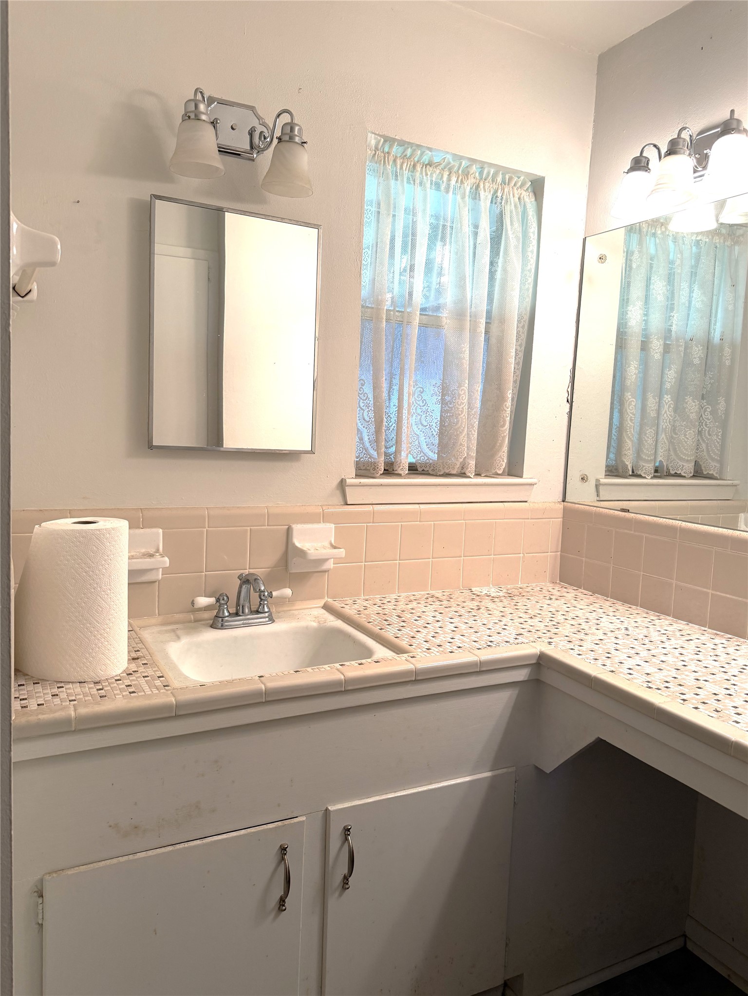 1036 8th Street Hempstead, TX 77445 - Photo 15 of 27 primary bath