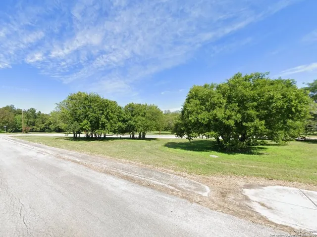 a view of a field with grass and trees