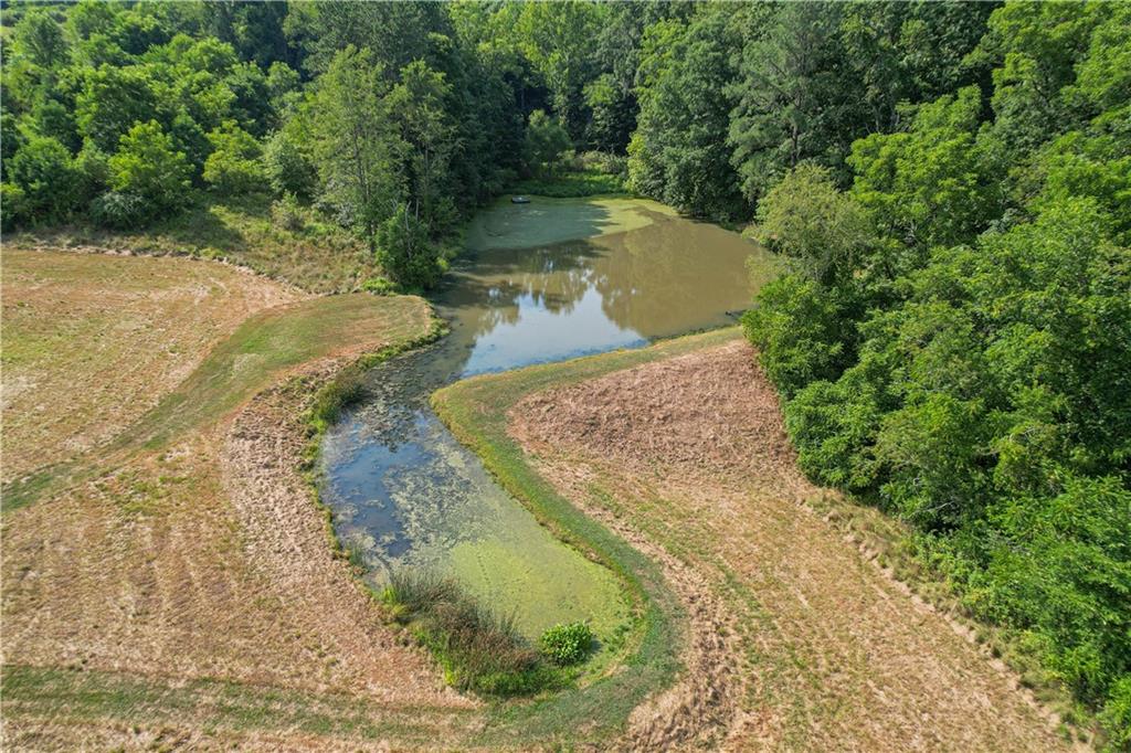 185 Reed Road Avella, PA 15312 - Photo 45 of 50 a view of a yard with a lake