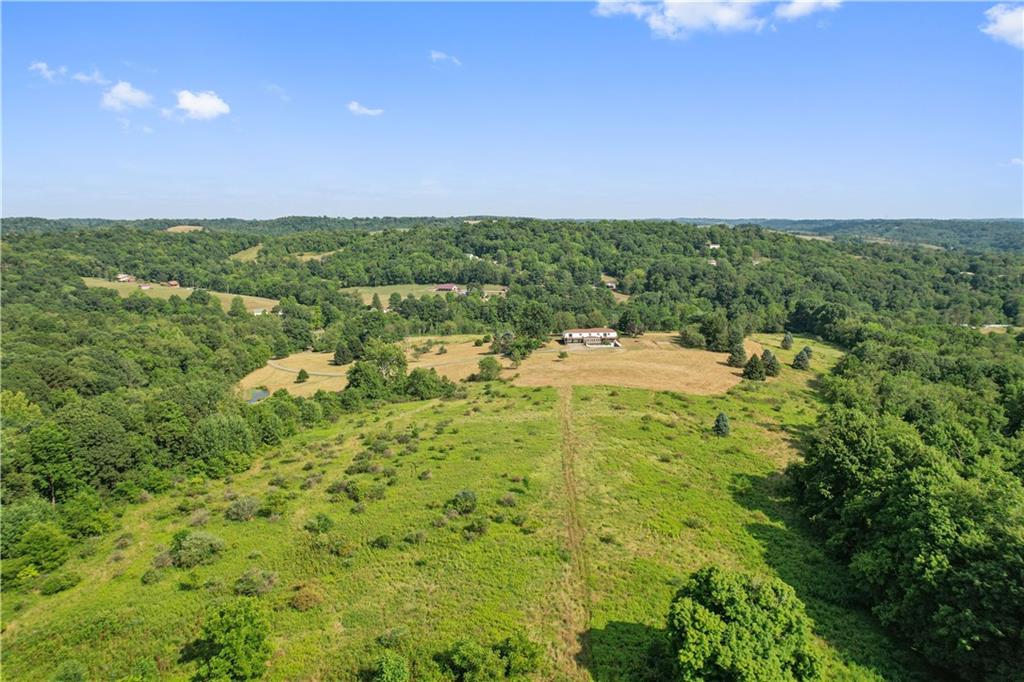 185 Reed Road Avella, PA 15312 - Photo 47 of 50 a view of a big yard with lots of green space and deers