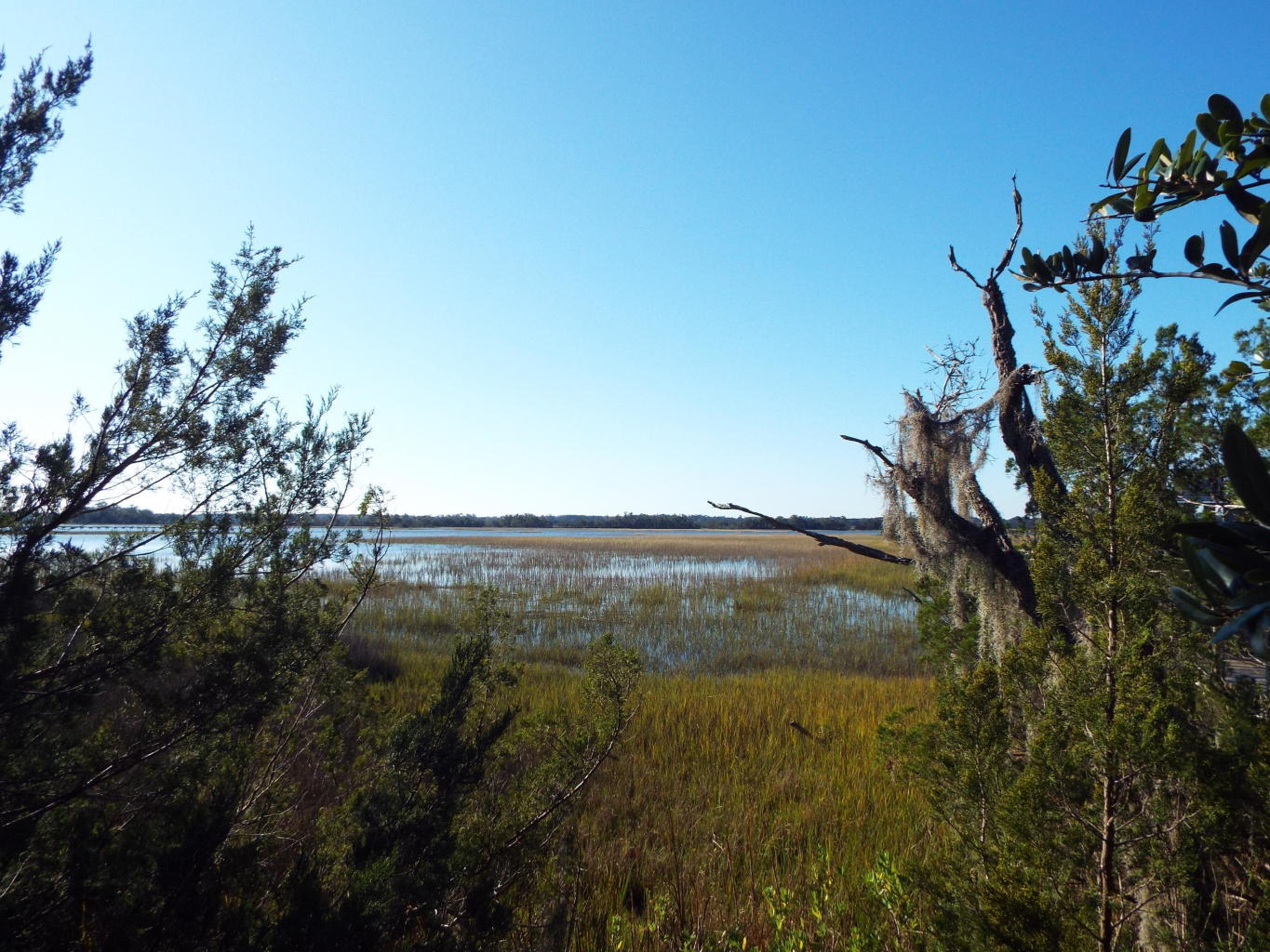0 Rookery Lane Charleston, SC 29414 - Photo 14 of 18 rook14