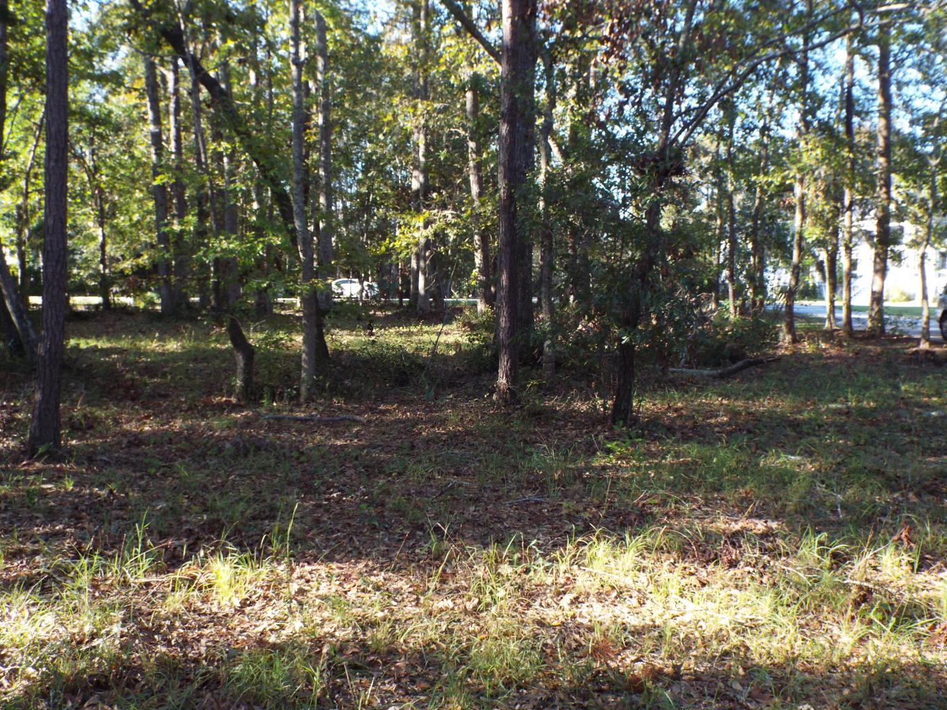 0 Rookery Lane Charleston, SC 29414 - Photo 8 of 18 rook7