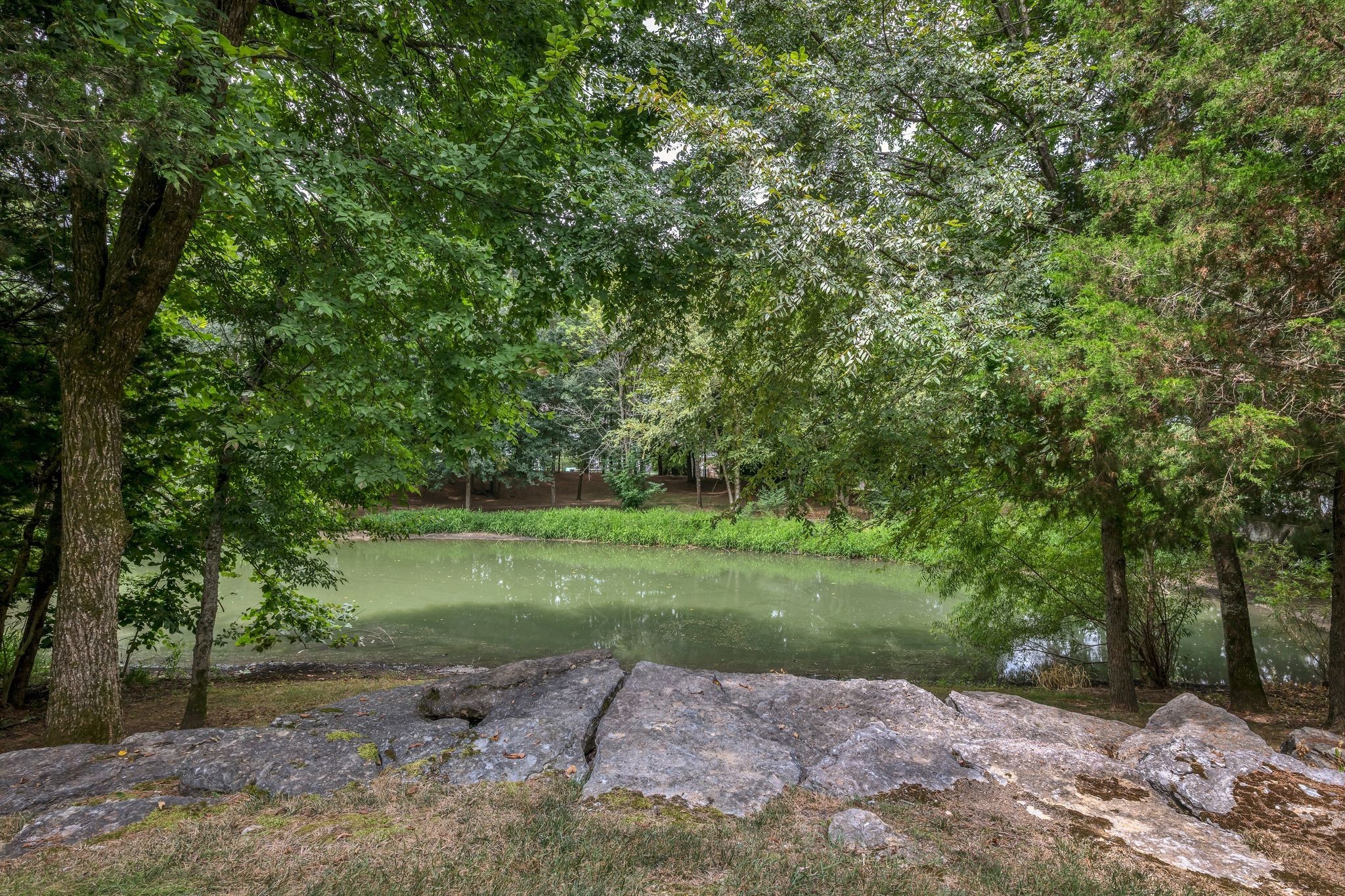 1609 Grassmere Road Franklin, TN 37064 - Photo 69 of 71 Gallery Image 69