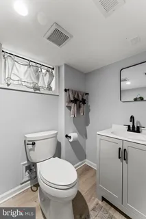 a bathroom with a toilet a sink and a mirror