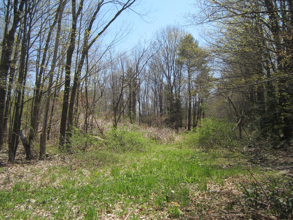 Land Patriots Road Templeton, MA 01468 - Photo 1 of 2 a big yard with lots of green space and trees