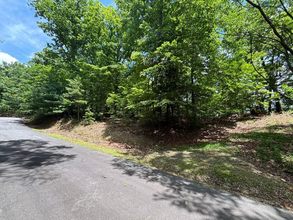 Lot 46 Mission Ridge Hayesville, NC 28904 - Photo 11 of 15