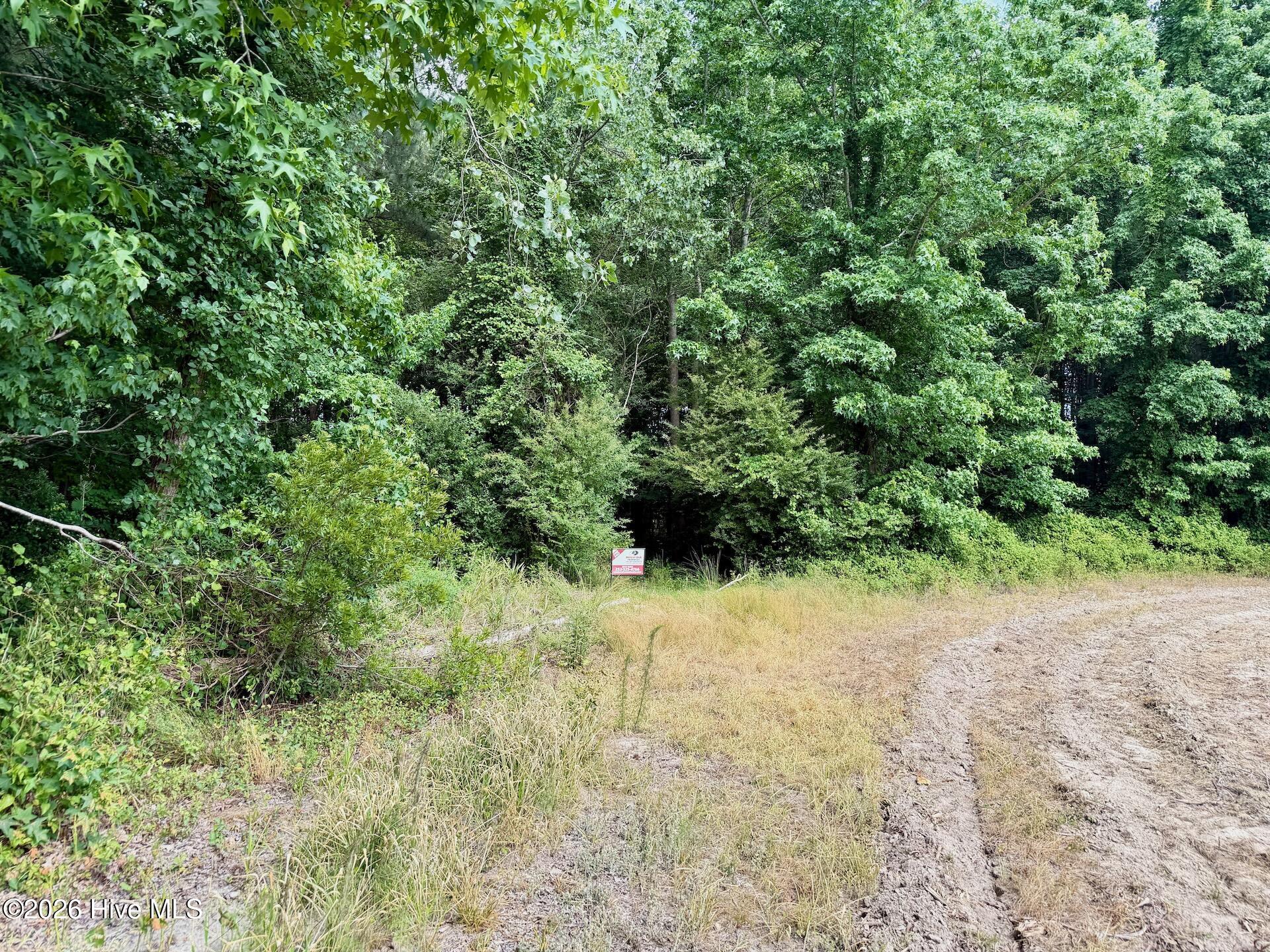 0 Off 1040d Republican Road Windsor, NC 27983 - Photo 6 of 27 Bertie 3.81 - 23