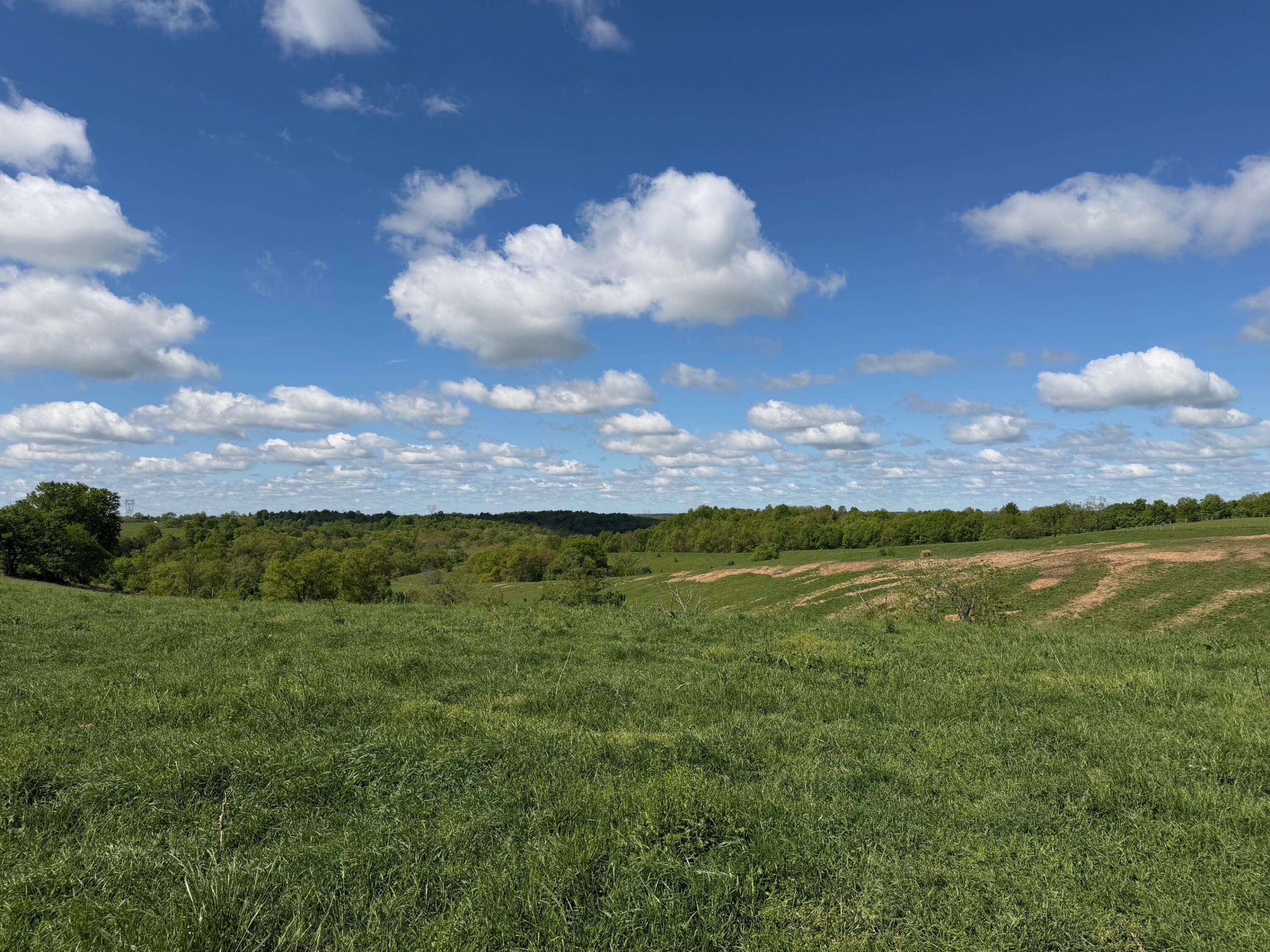 24.81-ac Chipman Ridge Road Williamstown, KY 41097 - Photo 9 of 17