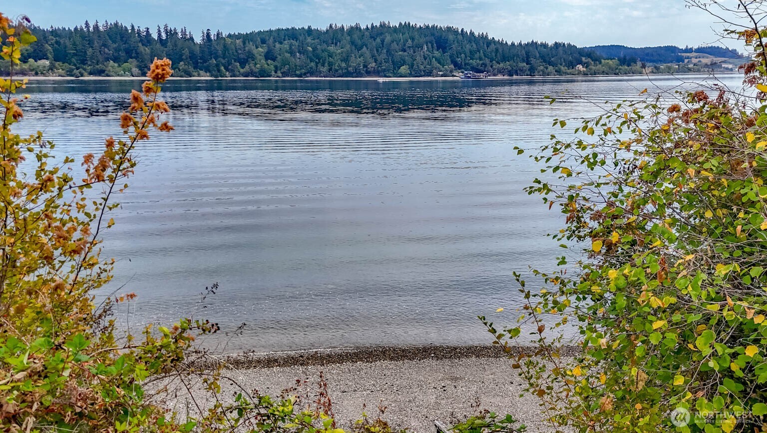 11415 Larson Road Anderson Island, WA 98303 - Photo 32 of 33 Gallery Image 32