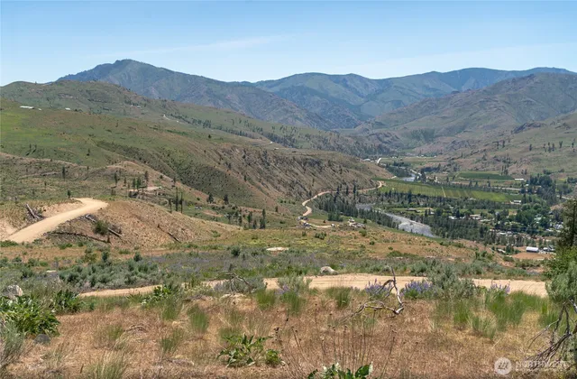 a view of a forest with mountains in the background