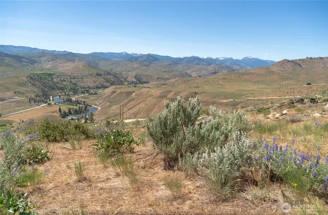 a view of a town with mountains in the background