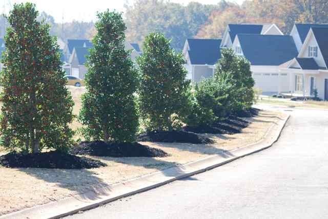 222 Streams Way Anderson, SC 29625 - Photo 8 of 9