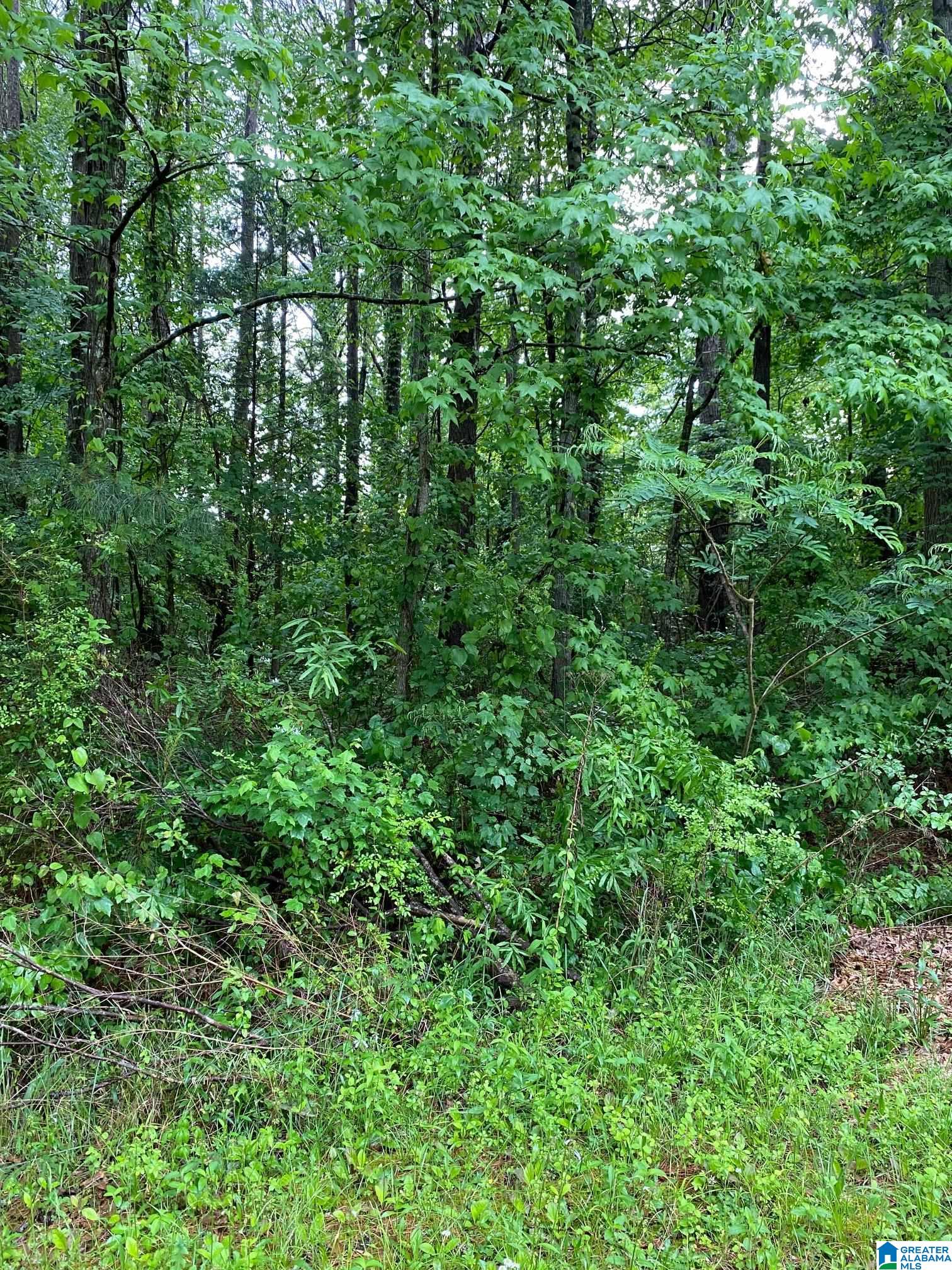 0 Morris Farms Drive, Unit 1 Riverside, AL 35135 - Photo 1 of 1