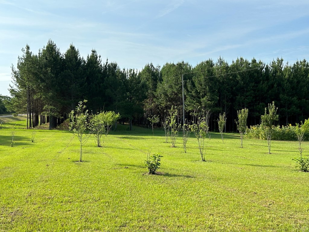 3876 D D Hodge Road Cottonwood, AL 36320 - Photo 17 of 48