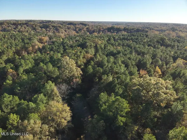 $295,000 | Perry Creek, Yazoo City, MS 39194