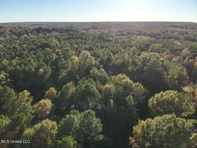 $295,000 | Perry Creek, Yazoo City, MS 39194