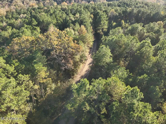 $295,000 | Perry Creek, Yazoo City, MS 39194