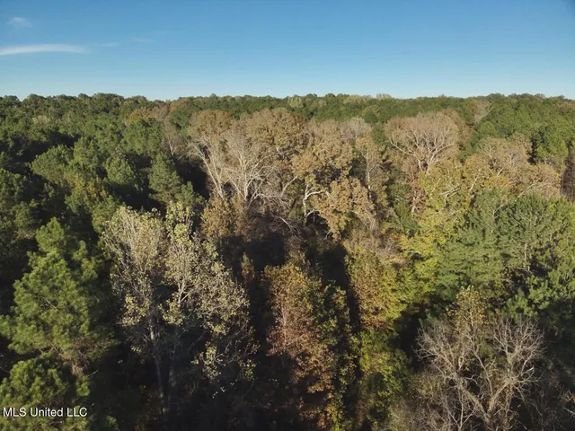 $295,000 | Perry Creek, Yazoo City, MS 39194