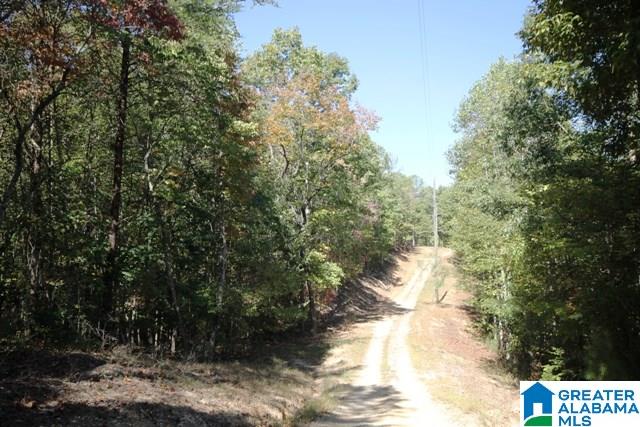 0 County Road 928, Unit 19 Delta, AL 36258 - Photo 38 of 43