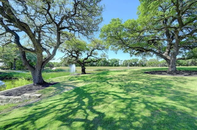 a view of a park with a tree