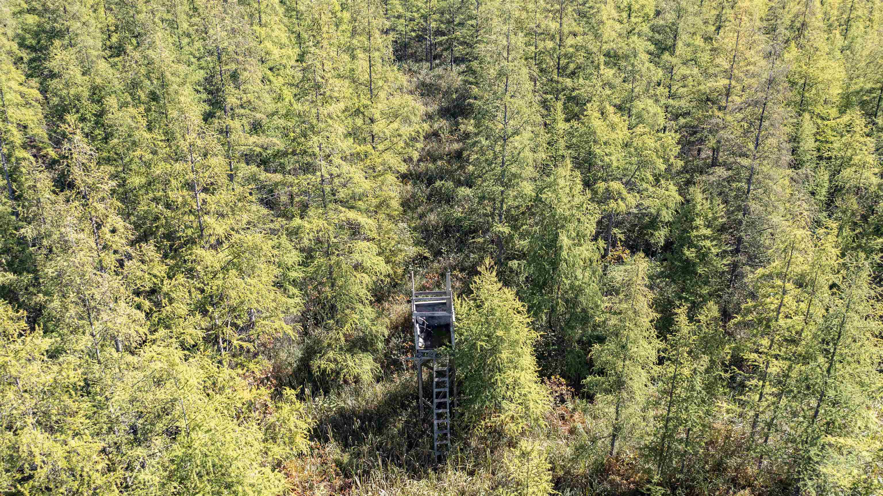 E3759 Highway 161 Iola, WI 54945 - Photo 19 of 67