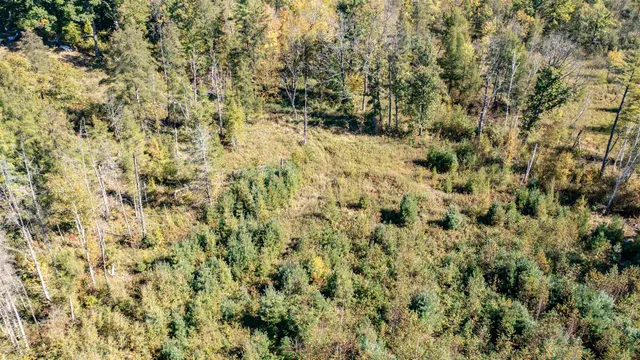 $499,900 | E3759 Highway 161, Iola, WI 54945