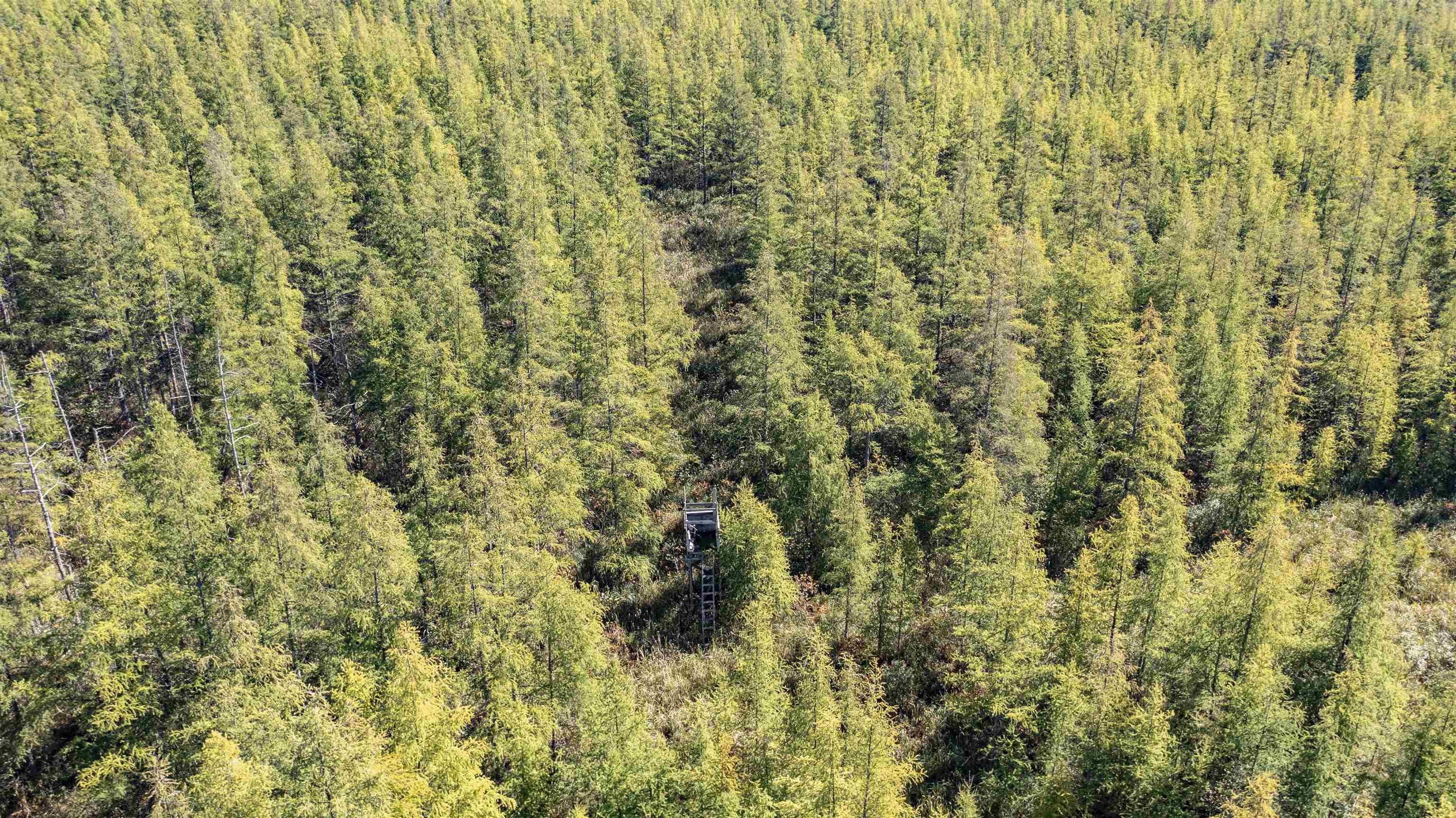 E3759 Highway 161 Iola, WI 54945 - Photo 21 of 67