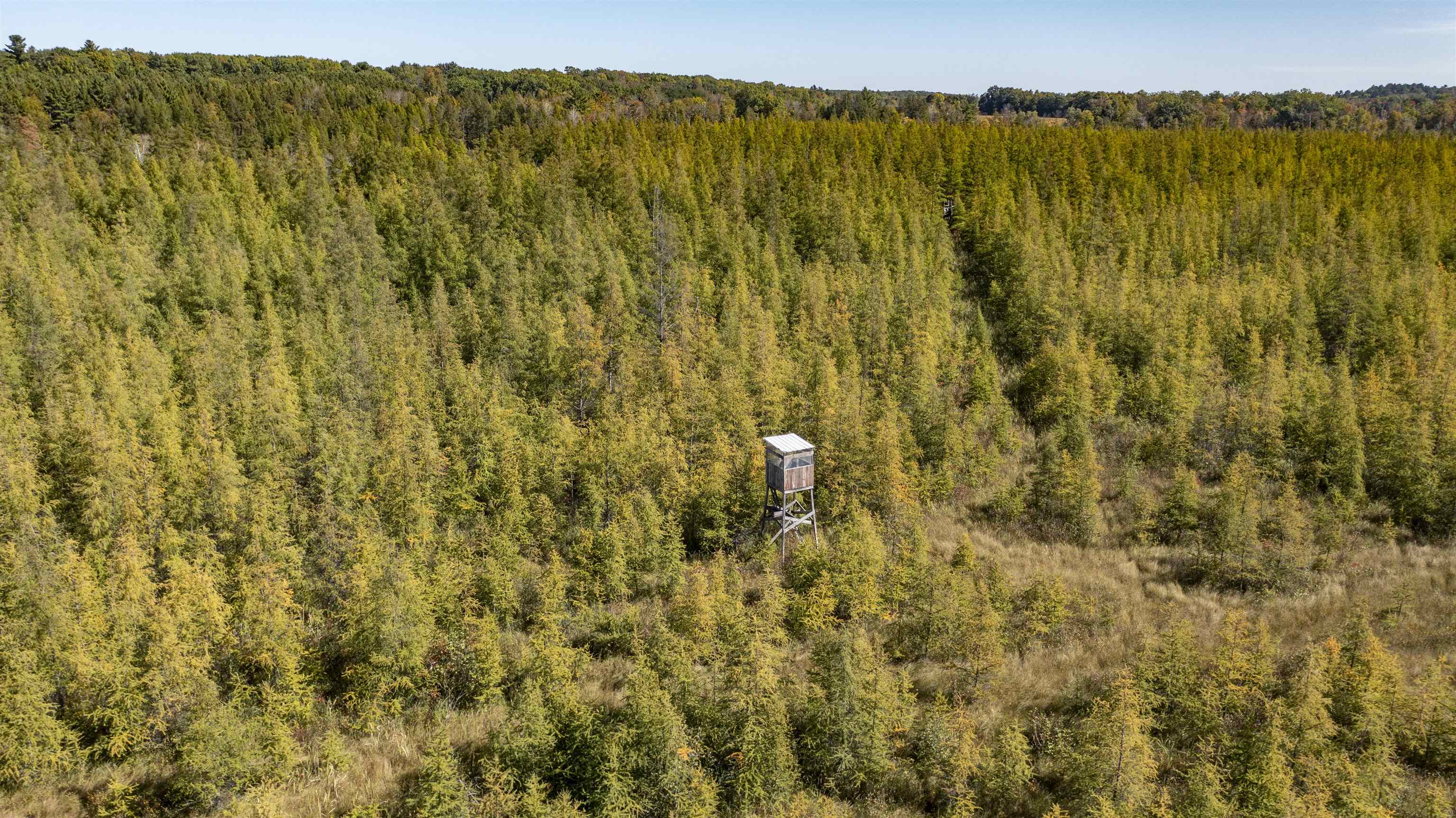 E3759 Highway 161 Iola, WI 54945 - Photo 24 of 67