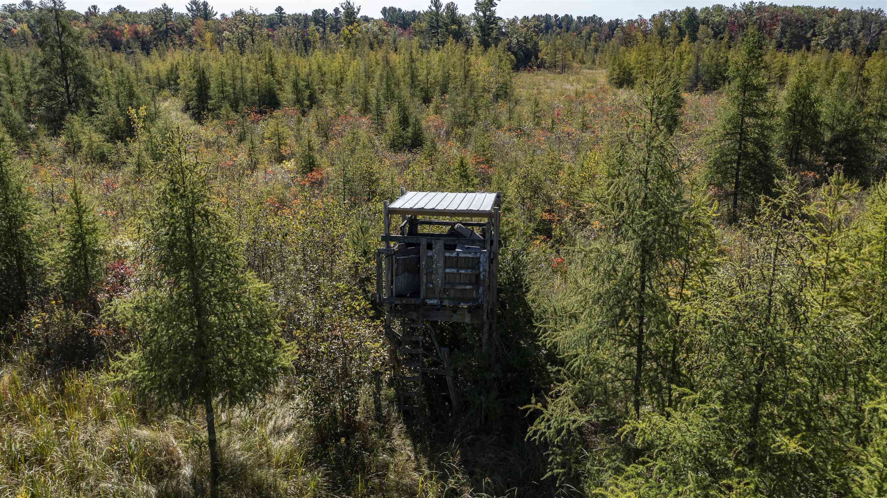 E3759 Highway 161 Iola, WI 54945 - Photo 25 of 67