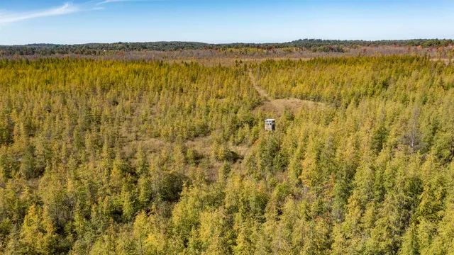 $499,900 | E3759 Highway 161, Iola, WI 54945