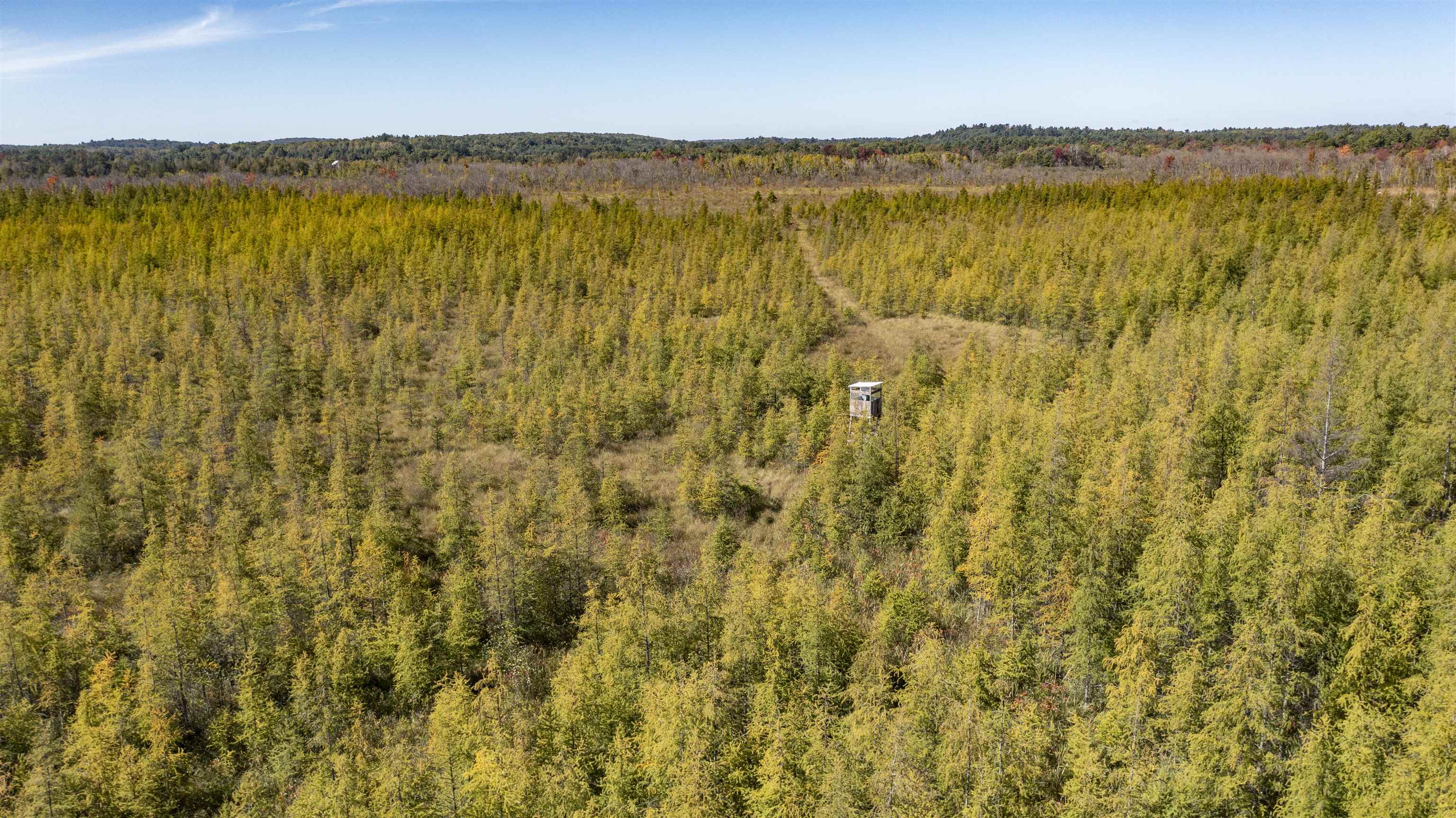 E3759 Highway 161 Iola, WI 54945 - Photo 26 of 67