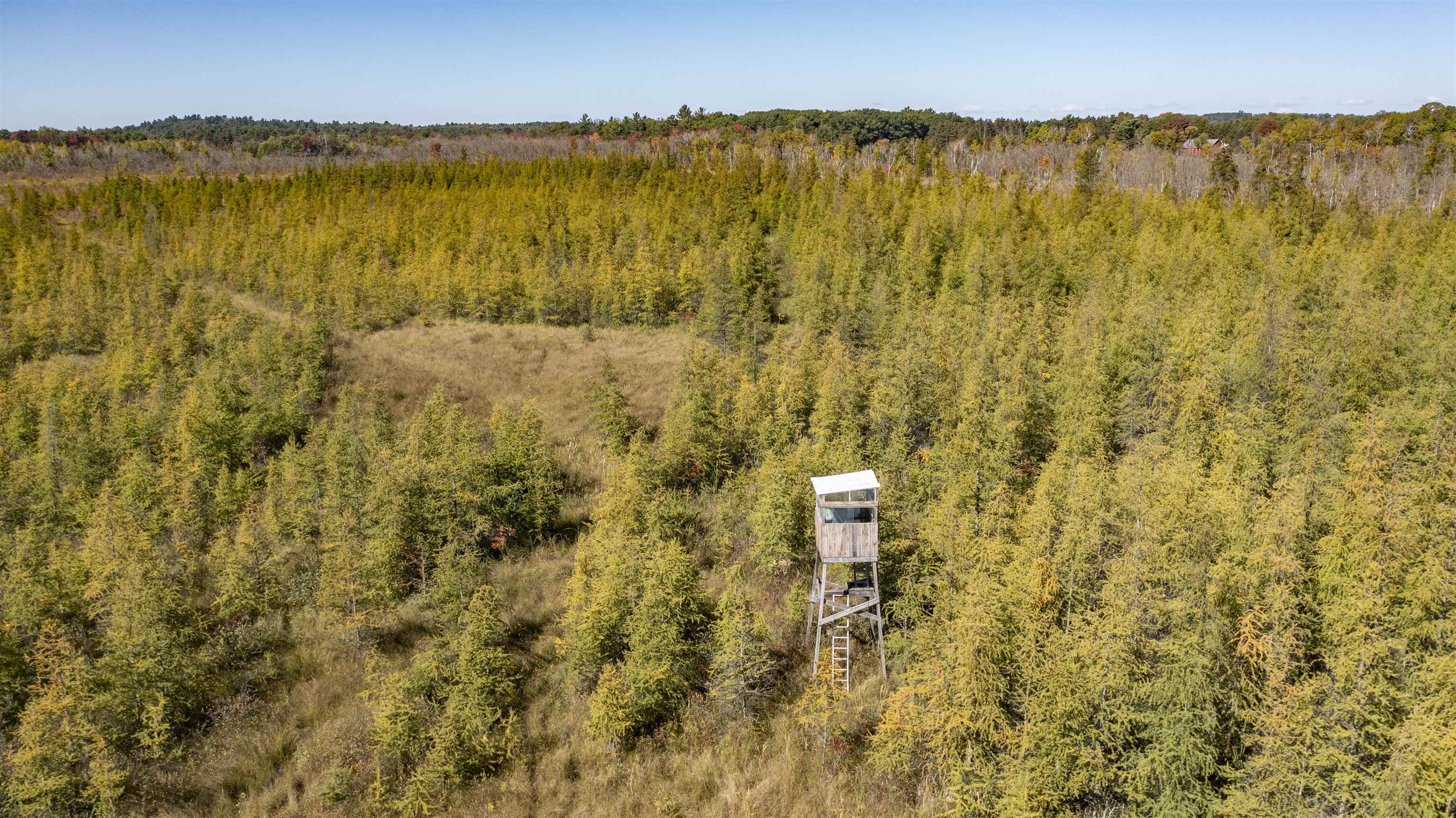 E3759 Highway 161 Iola, WI 54945 - Photo 27 of 67