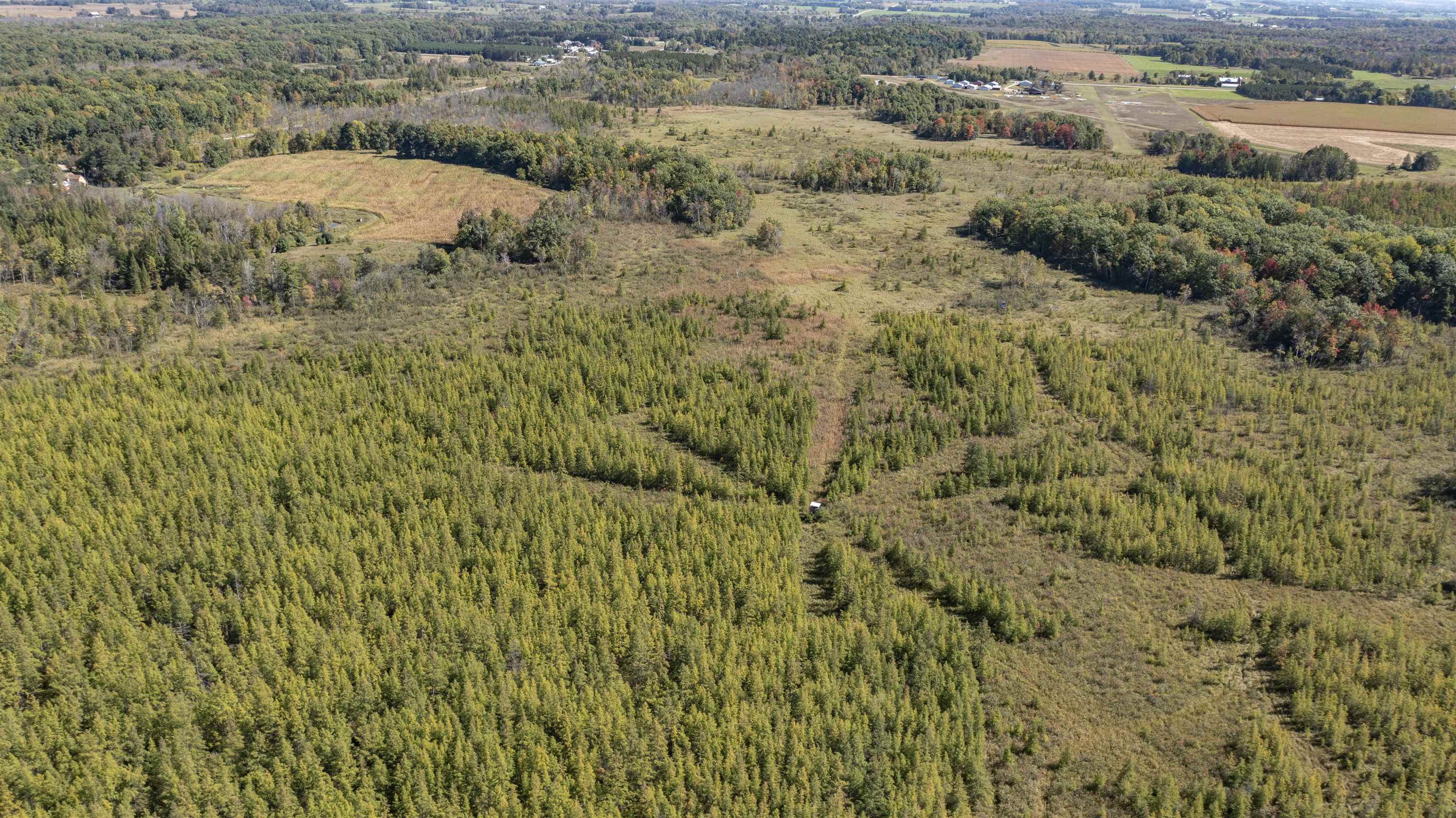 E3759 Highway 161 Iola, WI 54945 - Photo 29 of 67