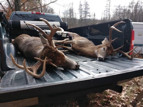 $484,000 | E3759 Highway 161, Iola, WI 54945