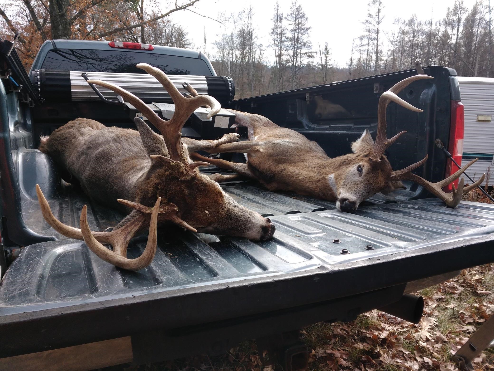 E3759 Highway 161 Iola, WI 54945 - Photo 3 of 67