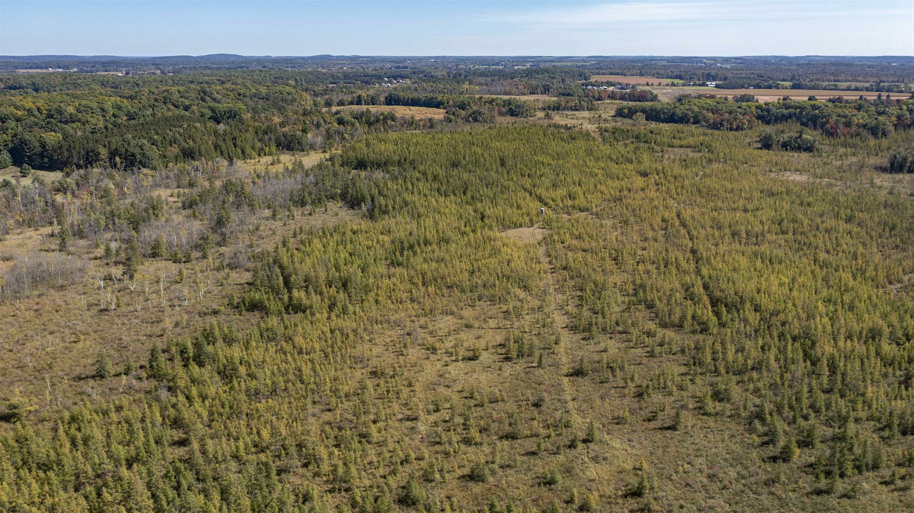 E3759 Highway 161 Iola, WI 54945 - Photo 32 of 67