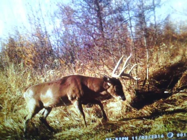 E3759 Highway 161 Iola, WI 54945 - Photo 36 of 67