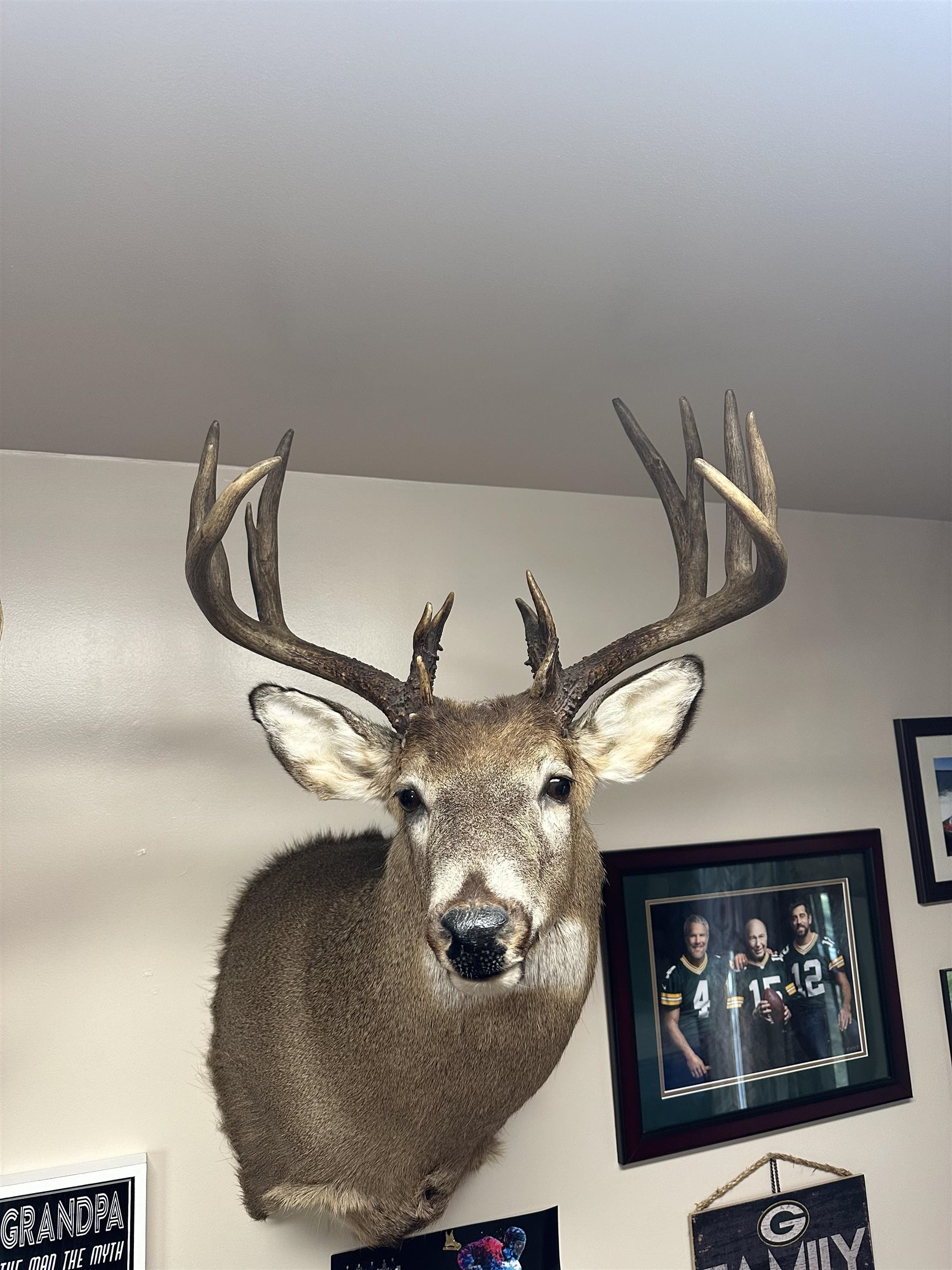 E3759 Highway 161 Iola, WI 54945 - Photo 37 of 67