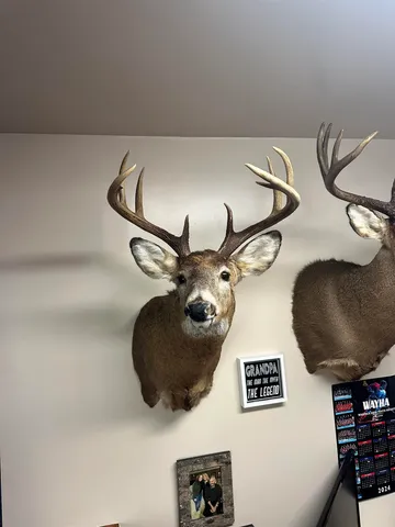 $499,900 | E3759 Highway 161, Iola, WI 54945