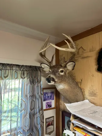 $484,000 | E3759 Highway 161, Iola, WI 54945