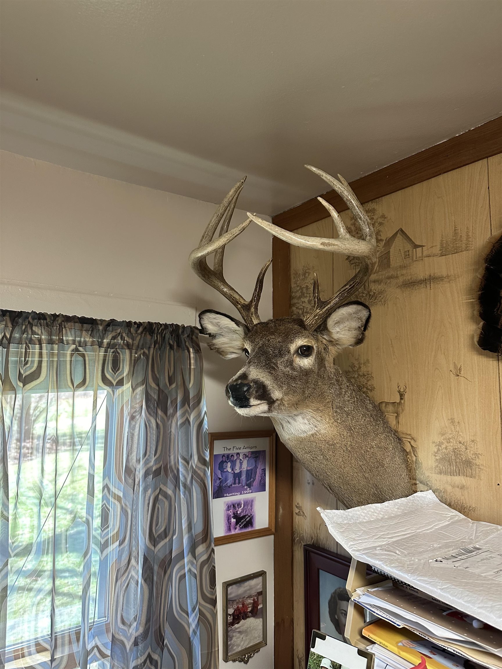 E3759 Highway 161 Iola, WI 54945 - Photo 39 of 67