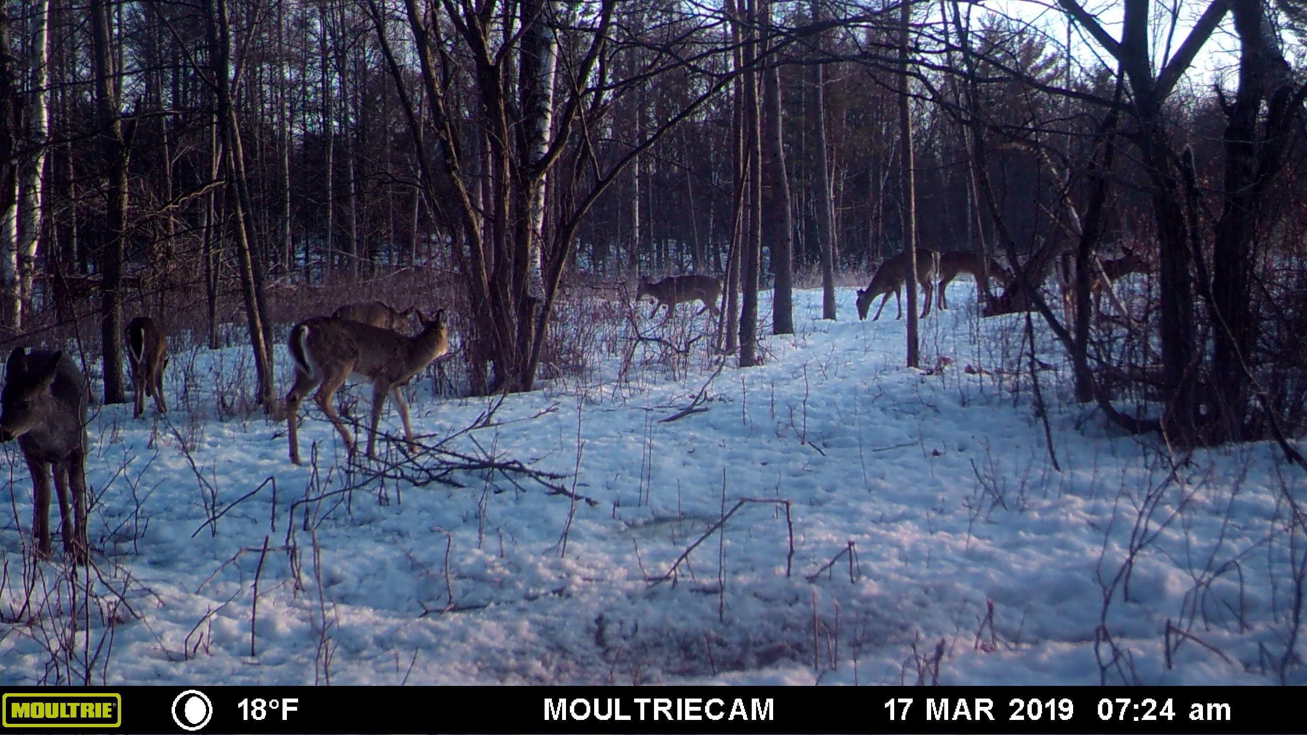 E3759 Highway 161 Iola, WI 54945 - Photo 40 of 67