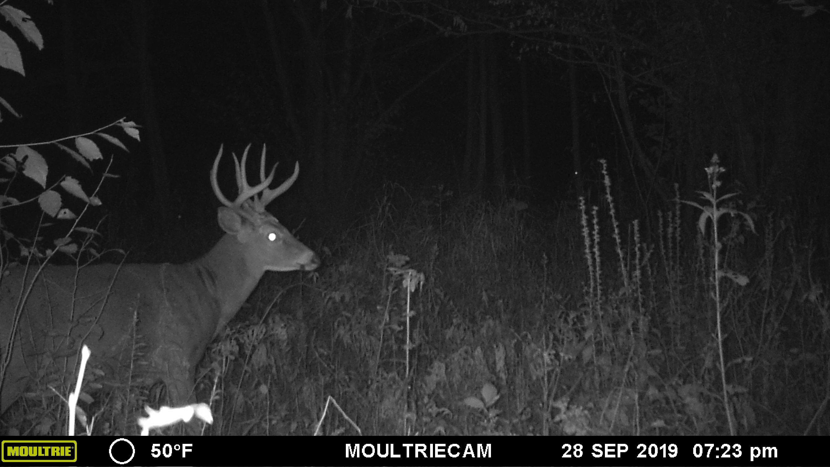 E3759 Highway 161 Iola, WI 54945 - Photo 41 of 67