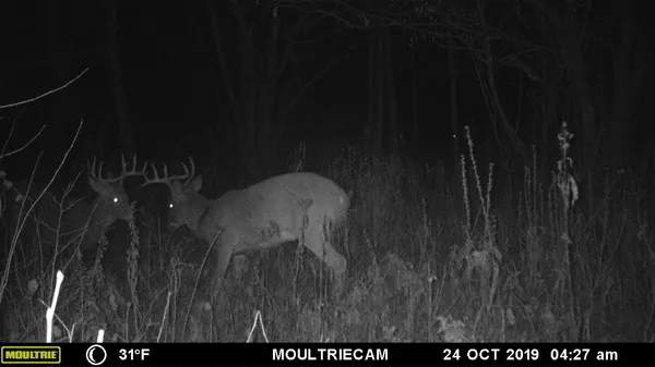 $484,000 | E3759 Highway 161, Iola, WI 54945