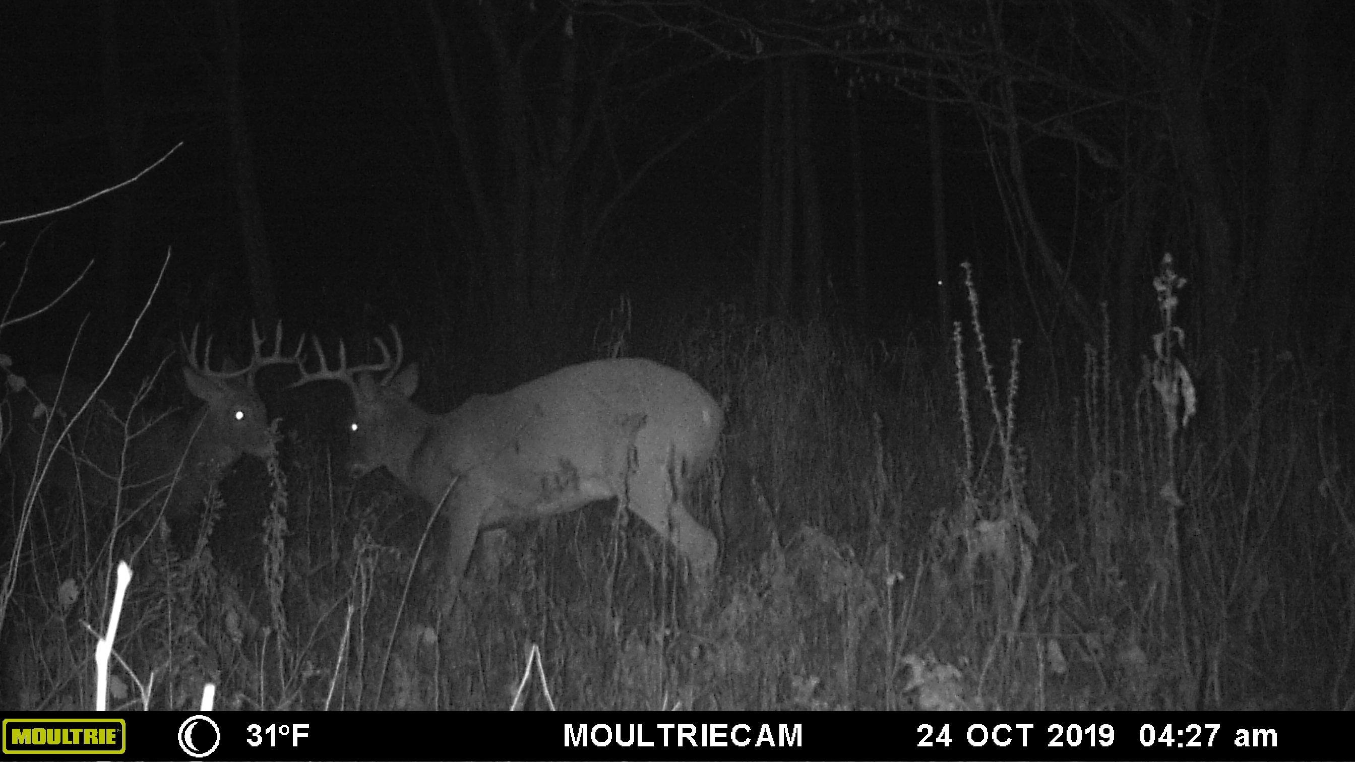 E3759 Highway 161 Iola, WI 54945 - Photo 42 of 67