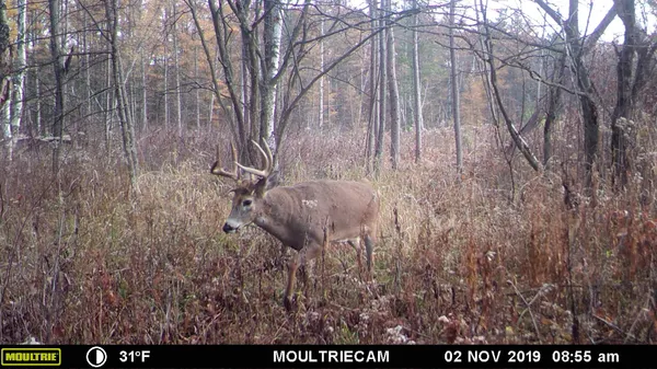 $484,000 | E3759 Highway 161, Iola, WI 54945