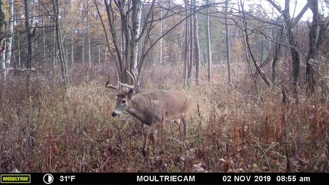 $499,900 | E3759 Highway 161, Iola, WI 54945