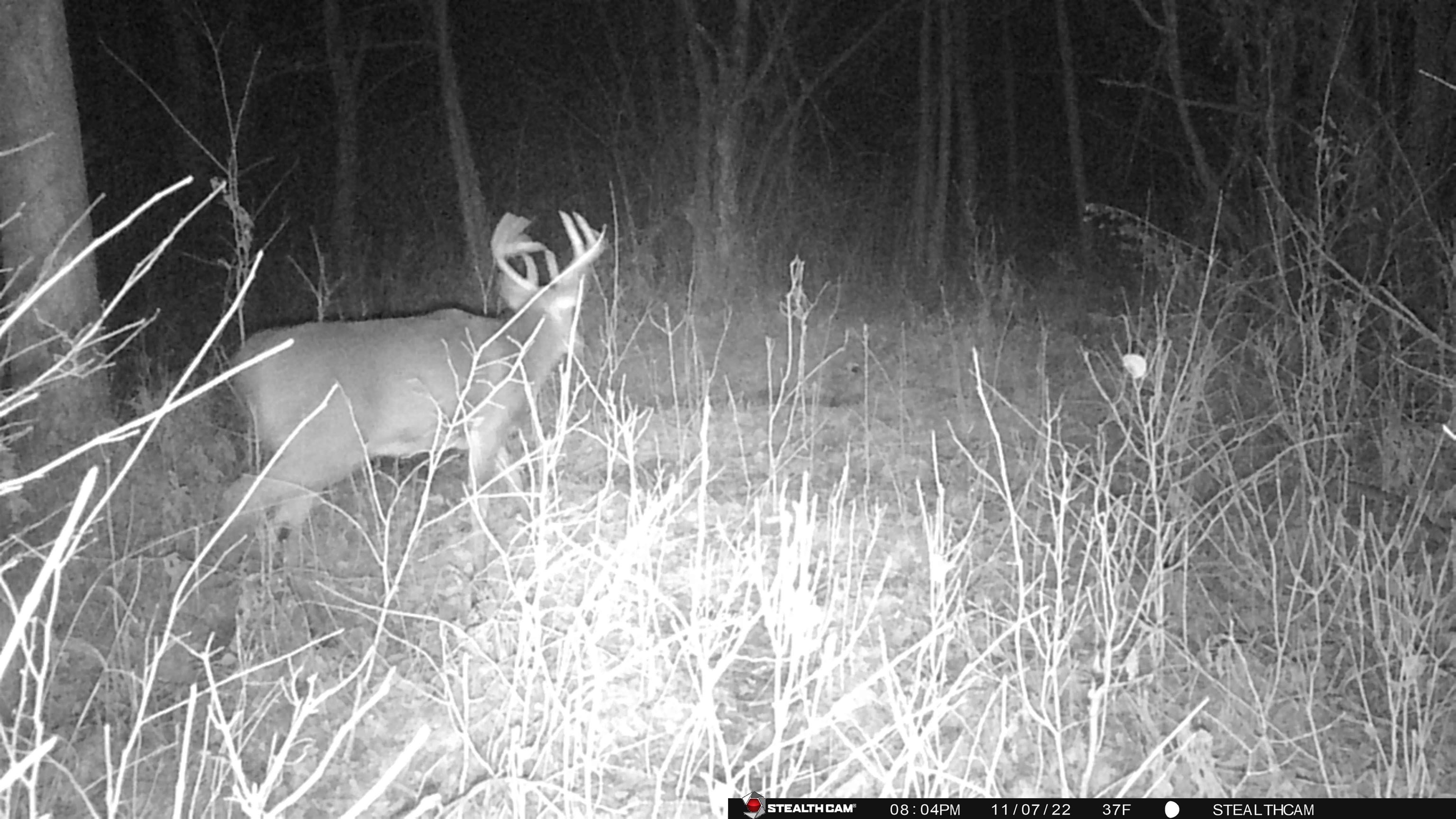 E3759 Highway 161 Iola, WI 54945 - Photo 44 of 67